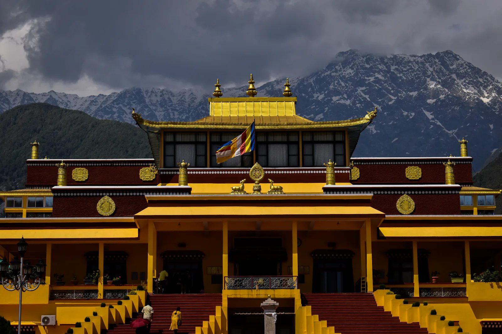 The hills of Dharamshala in Himachal Pradesh