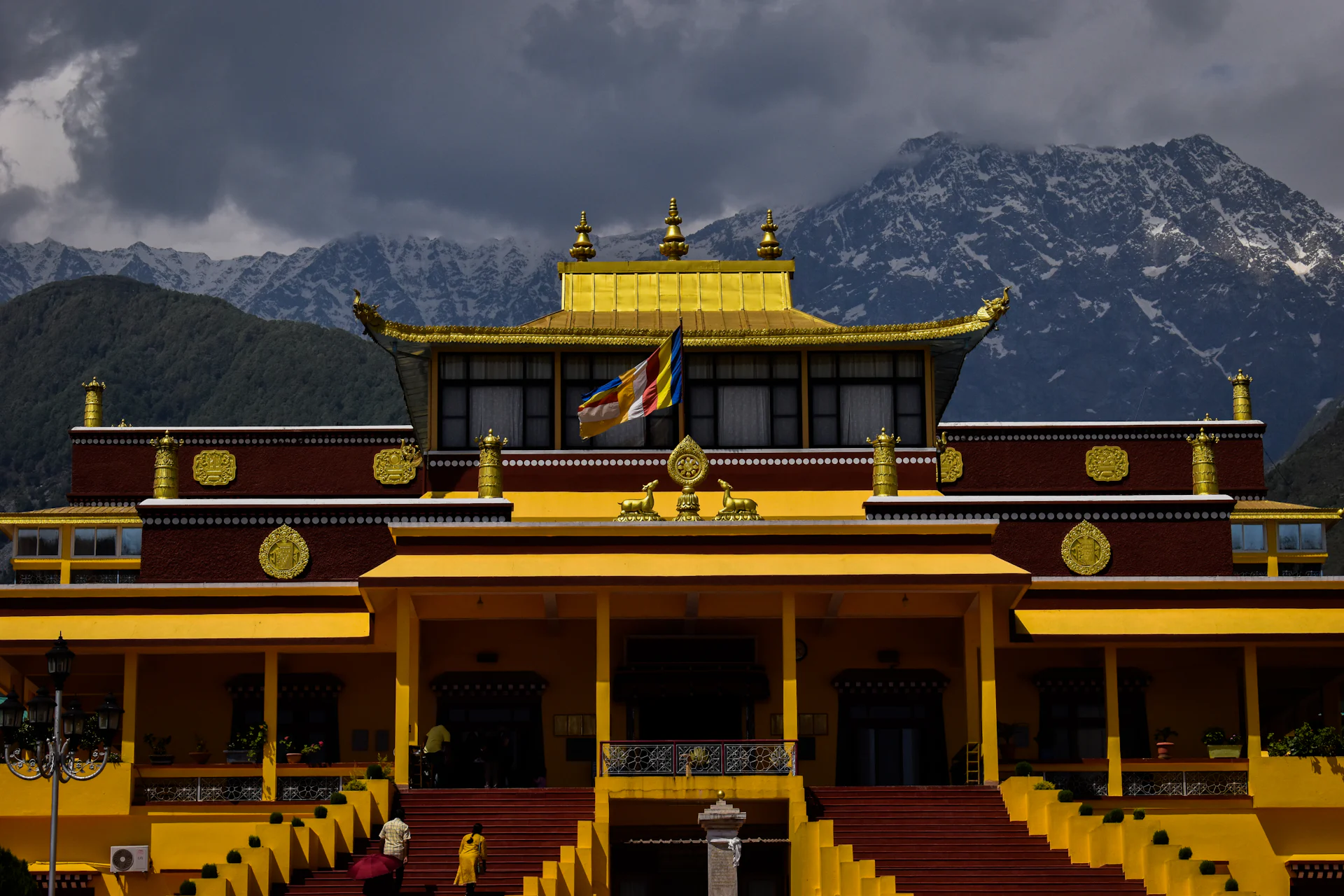 Golden Temple to Dharamshala & Bir