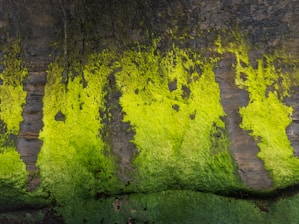 Basement Waterproofing | Massachusettsv