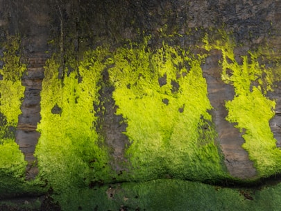 Basement Waterproofing | Massachusettsv