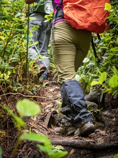 a couple of people walking through a forest