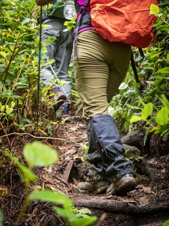 a couple of people walking through a forest