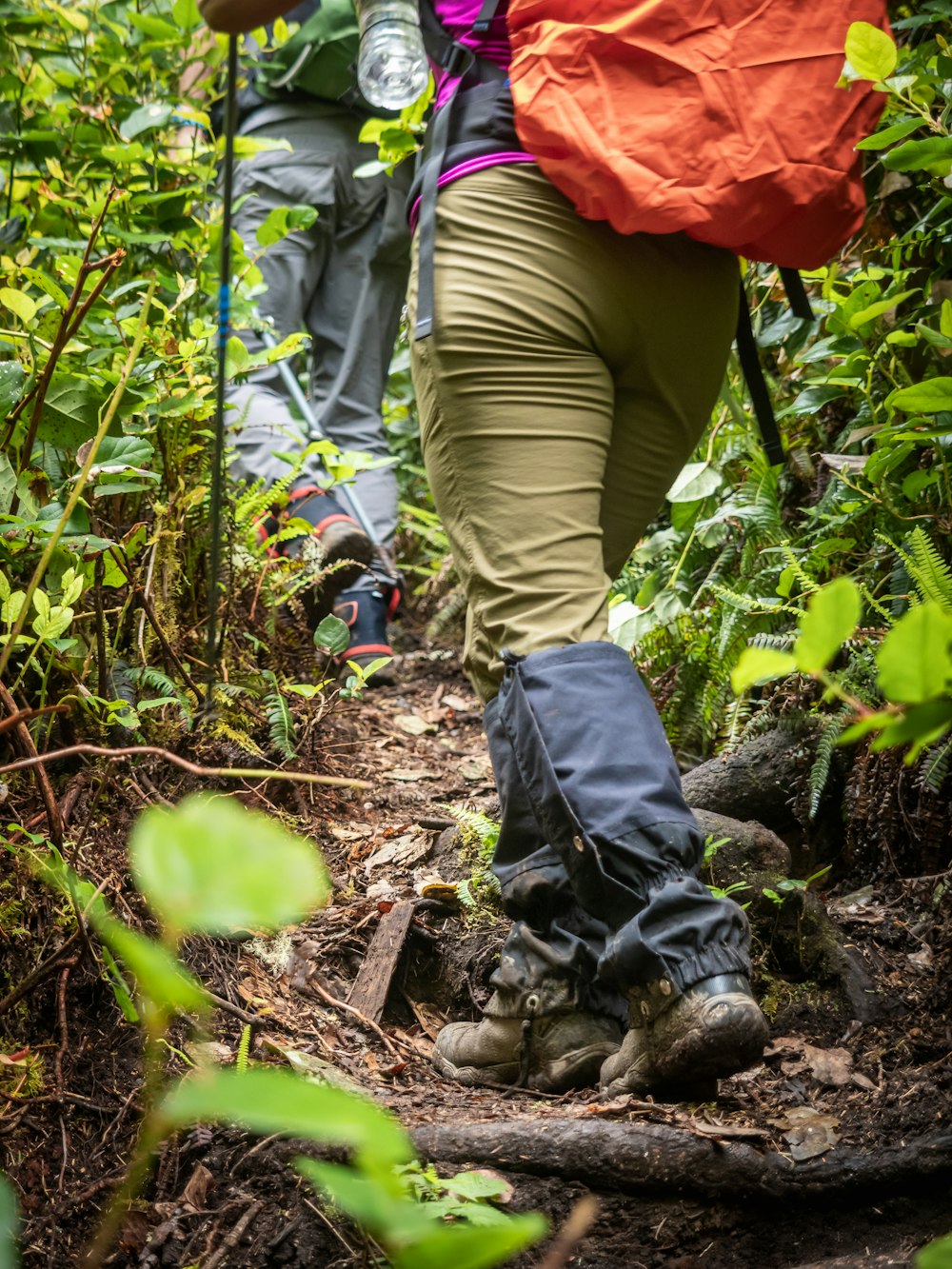 a couple of people walking through a forest