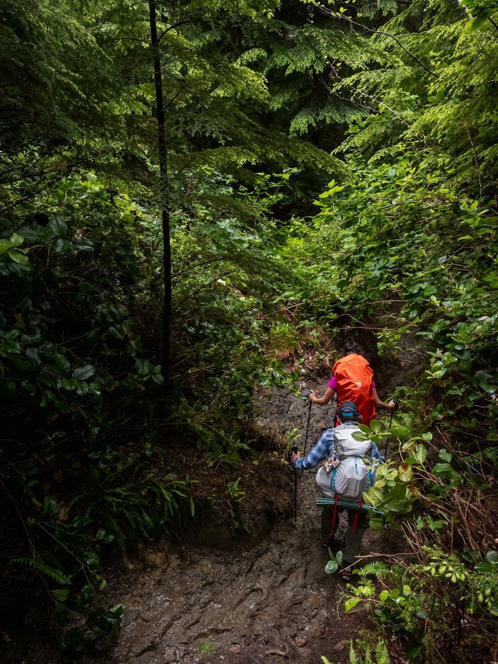 a man hiking up a trail in the woods