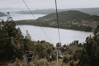 A serene landscape featuring a large lake surrounded by forested hills. Several cable cars are visible, with people seated as they ascend or descend amidst the trees. The scenery conveys a sense of tranquility and connection with nature.