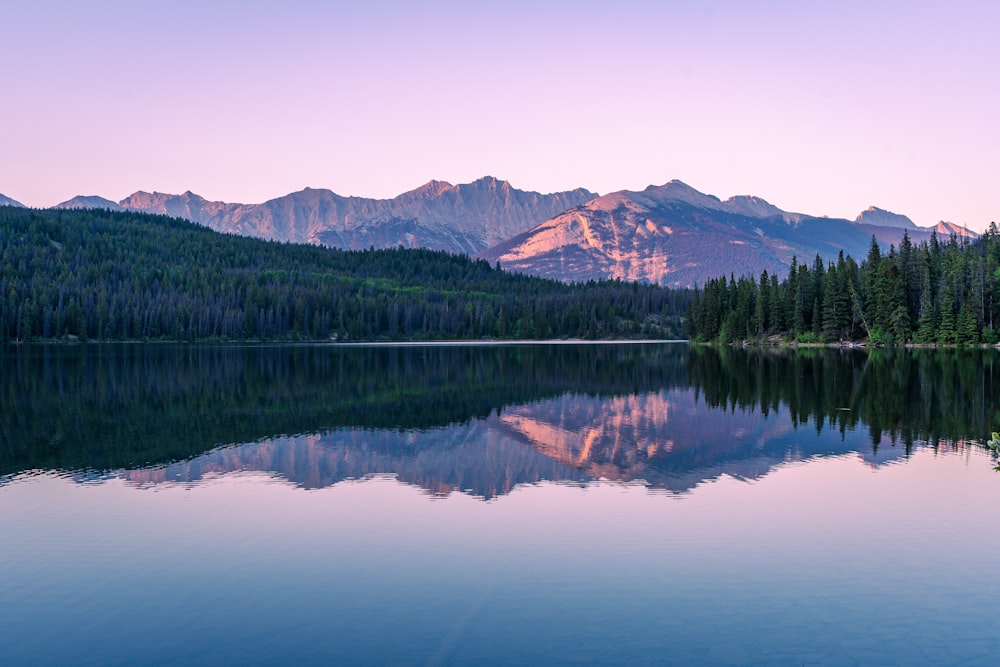 um lago com montanhas ao fundo e árvores em primeiro plano