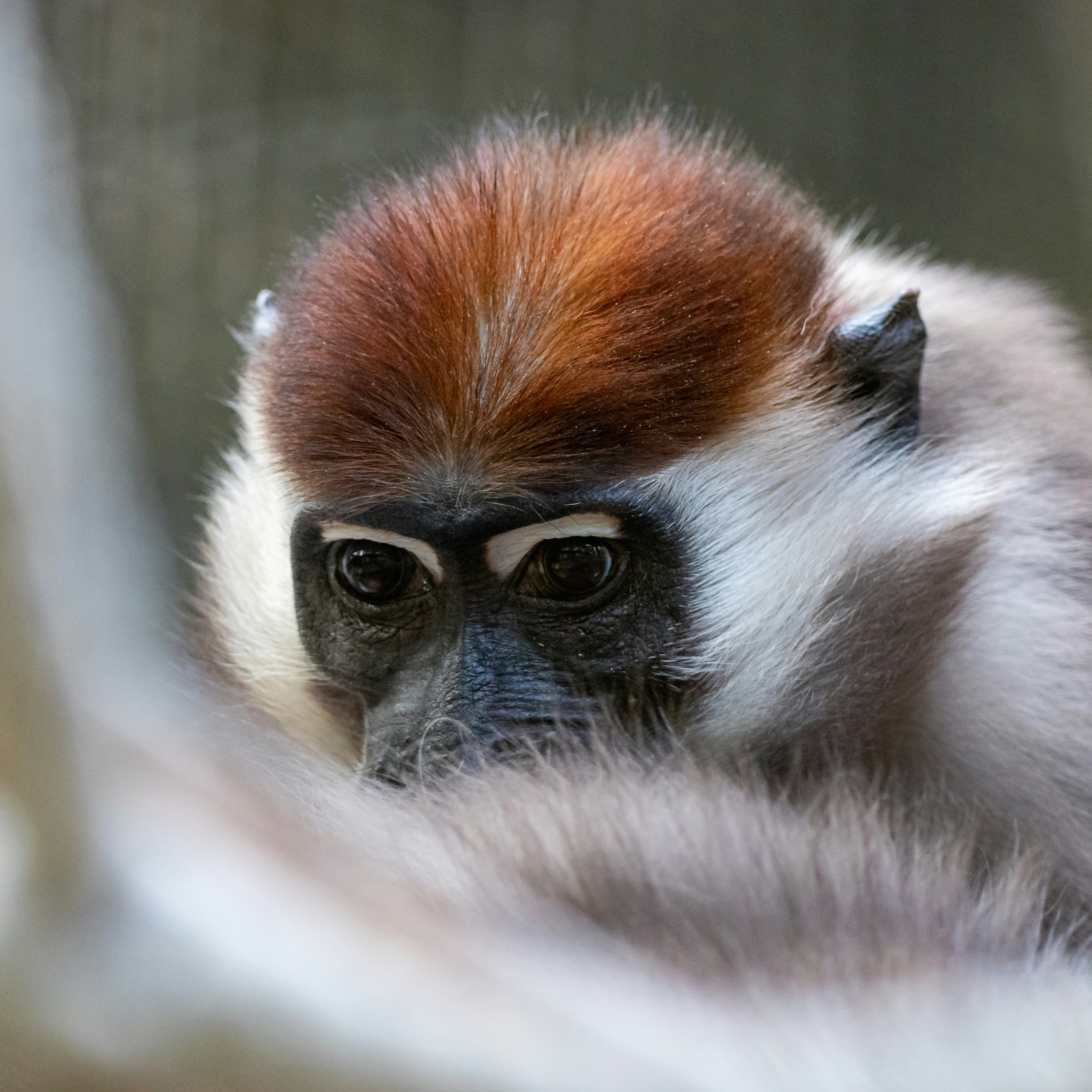 Photo by matthieur68