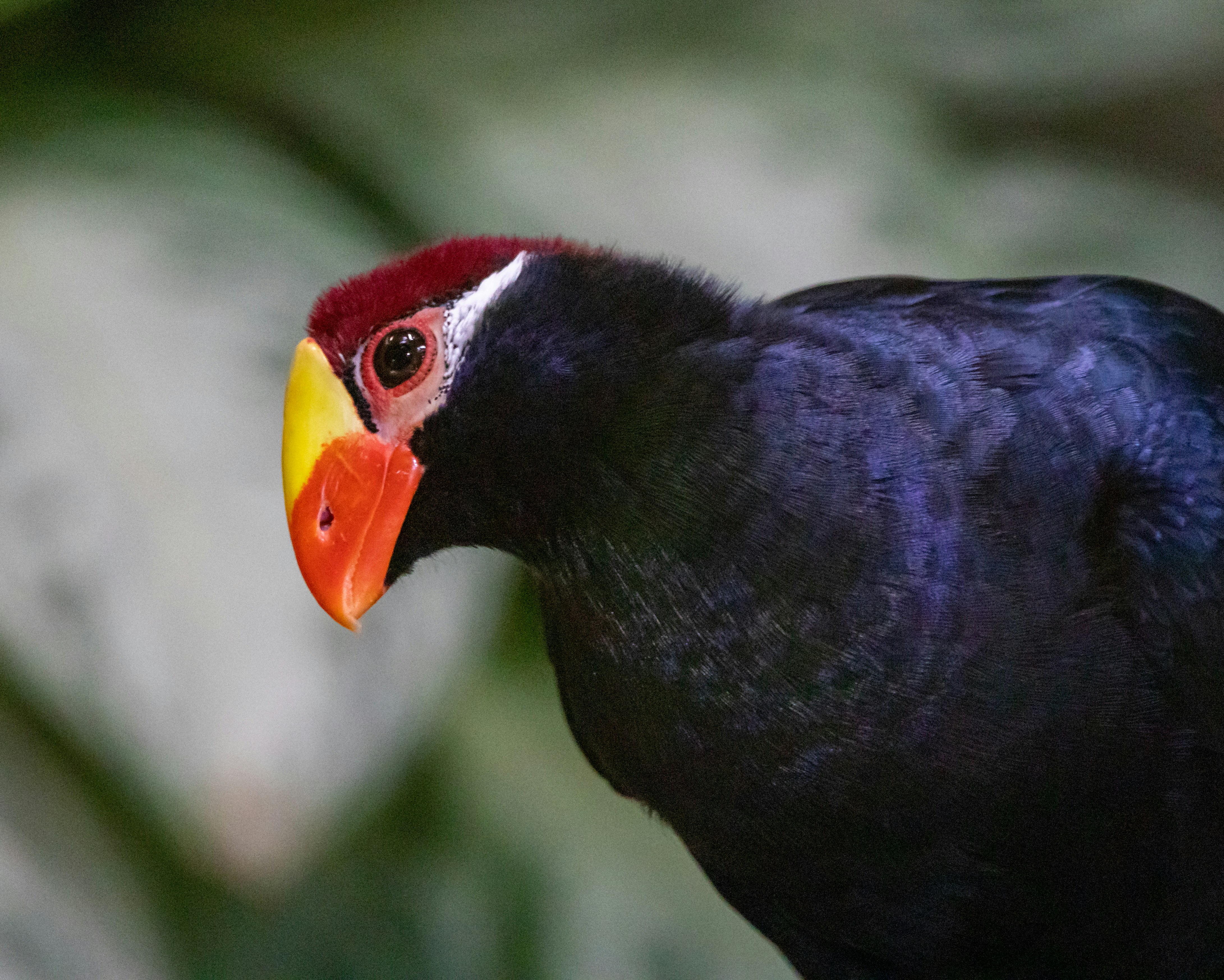 Photo by matthieur68