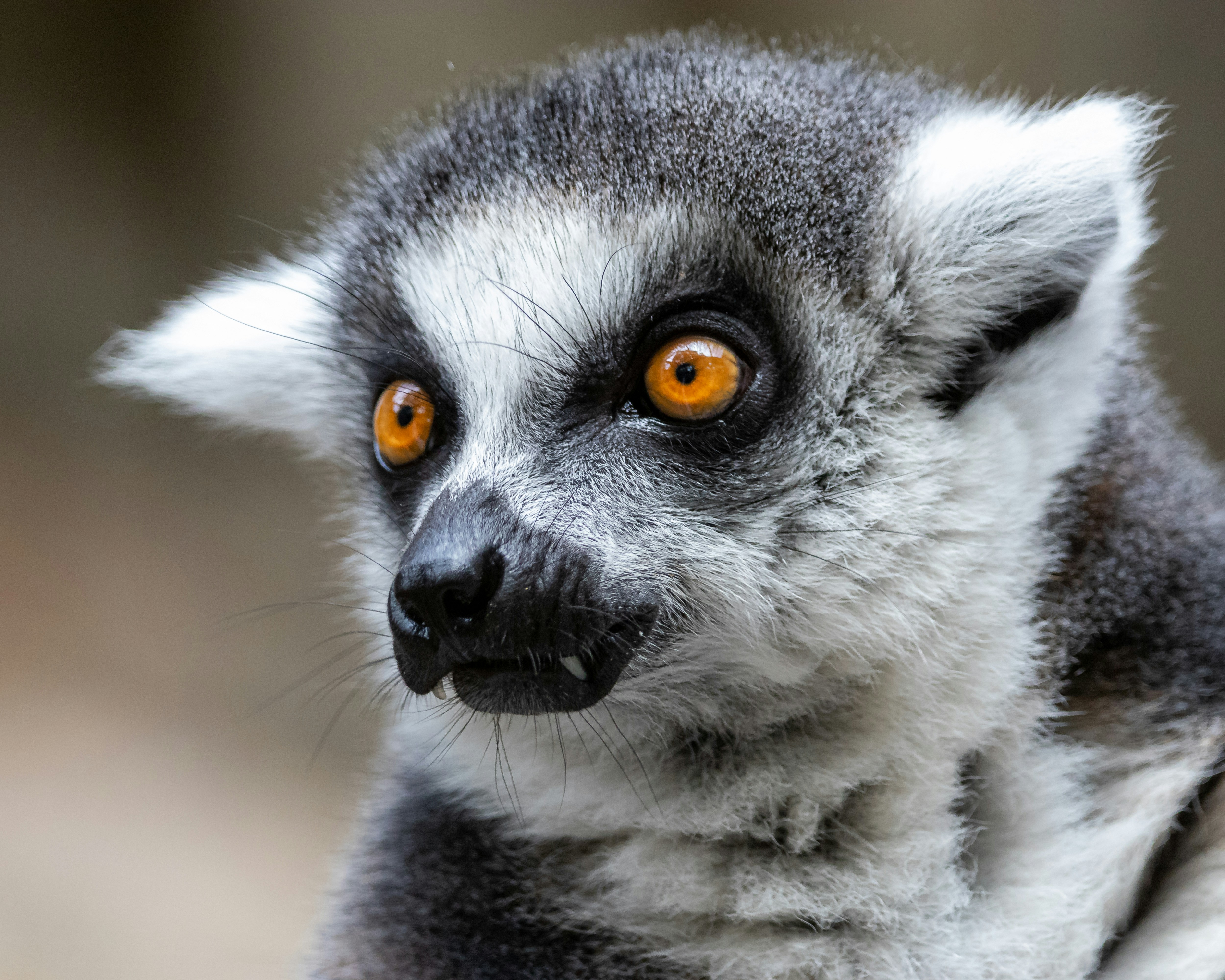 Photo by matthieur68