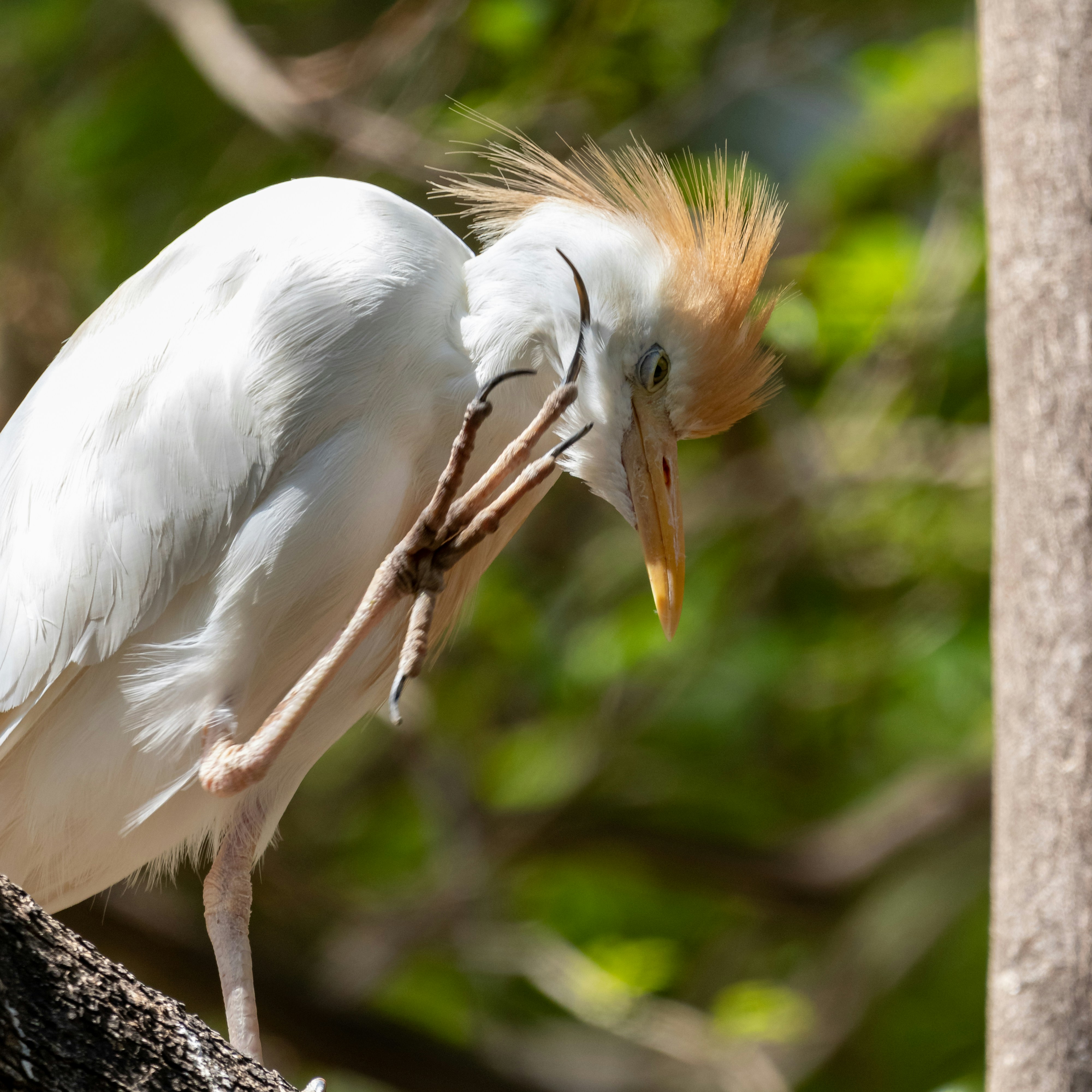 Photo by matthieur68