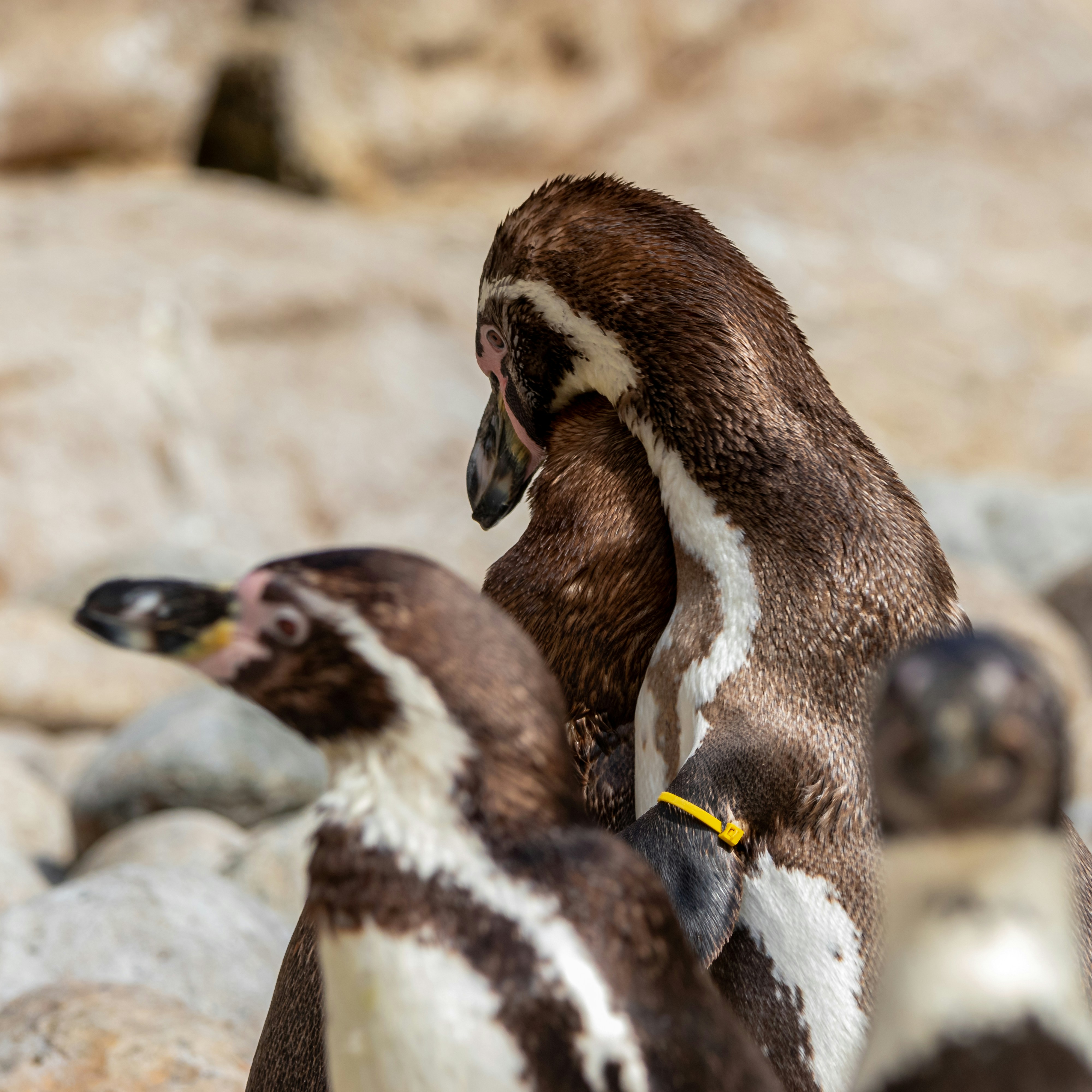 Photo by matthieur68