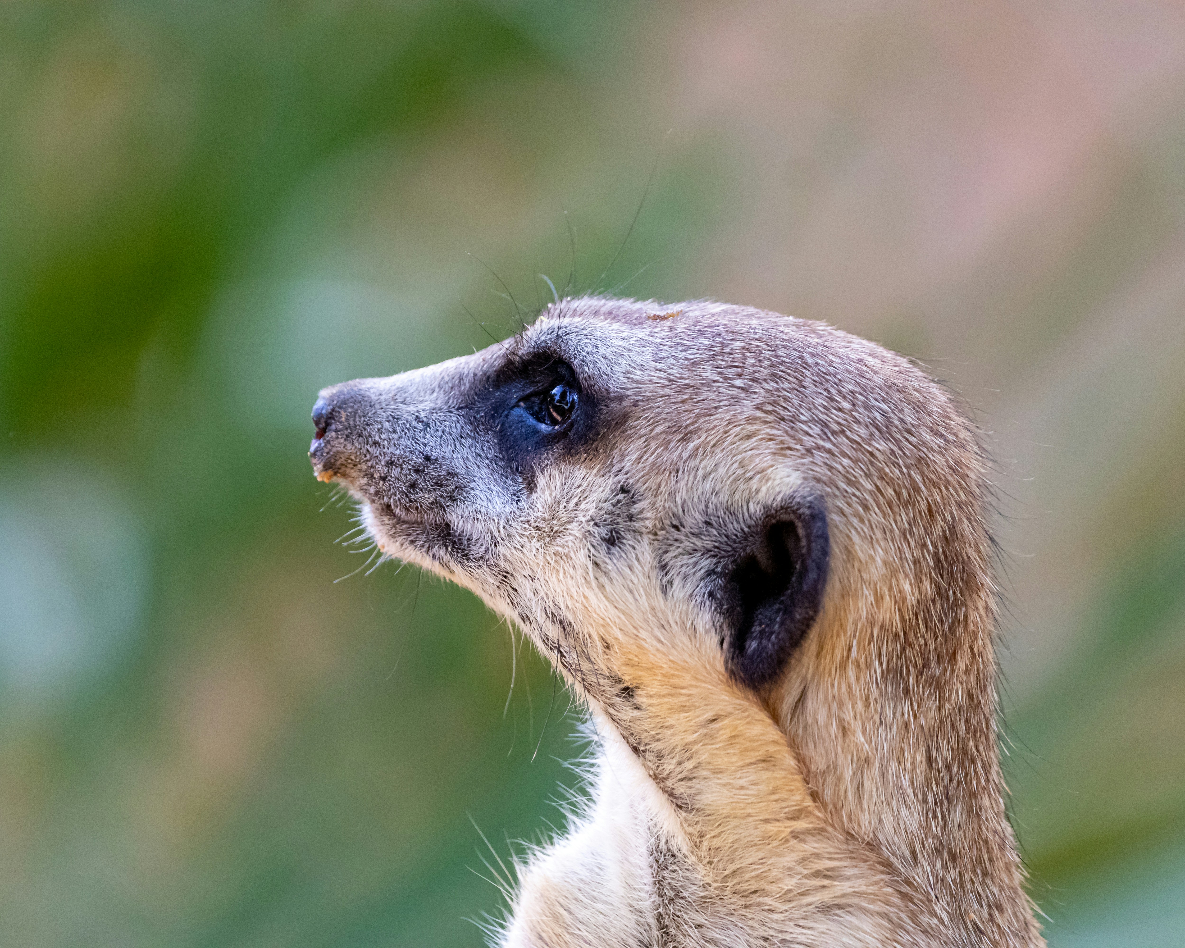 Photo by matthieur68