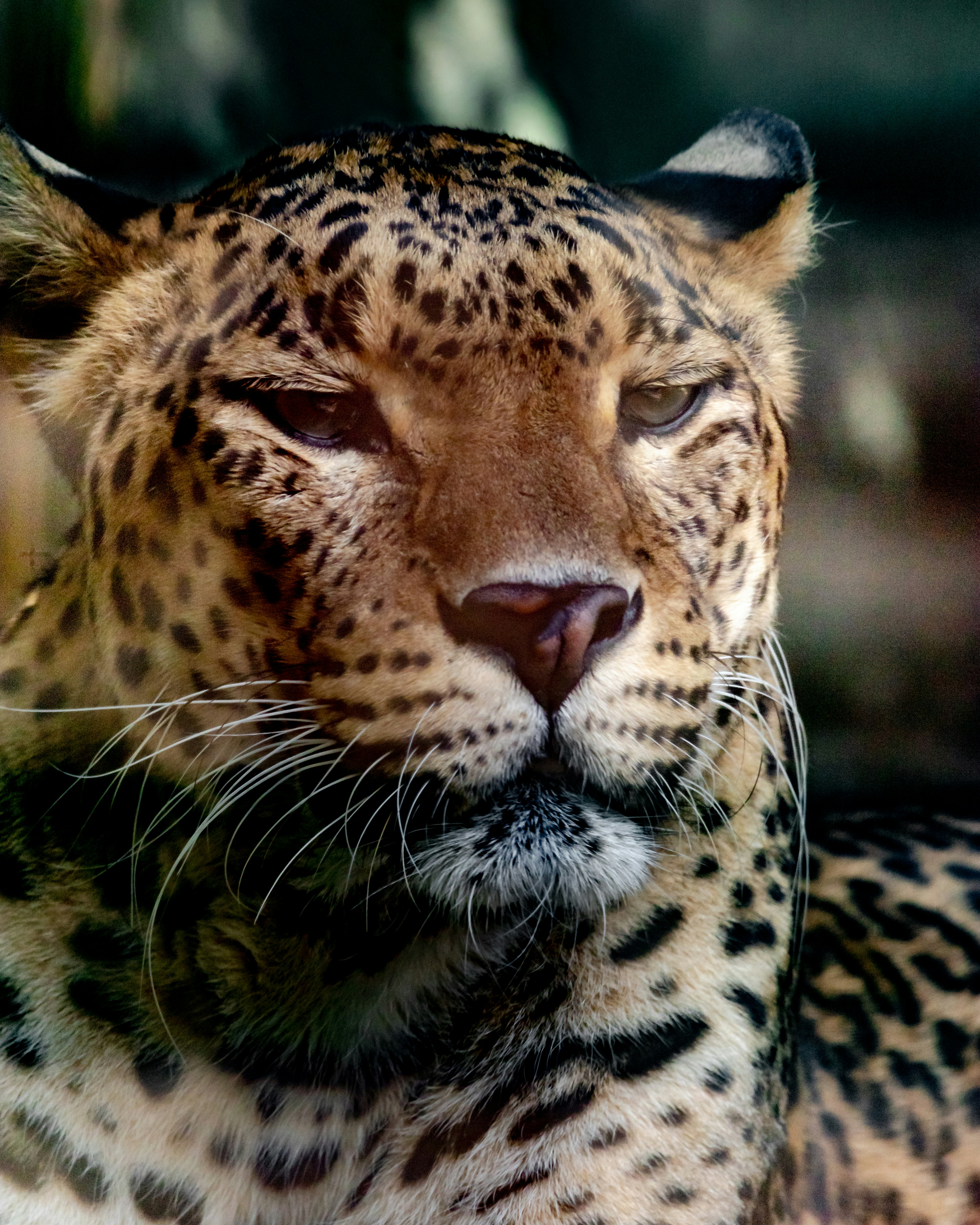 Photo by matthieur68