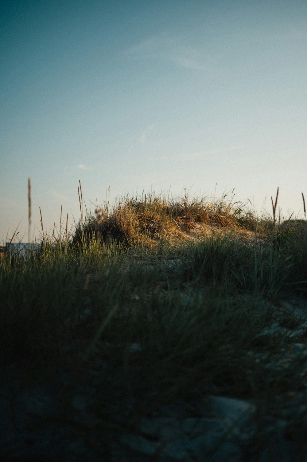 a person riding a horse in a grassy field