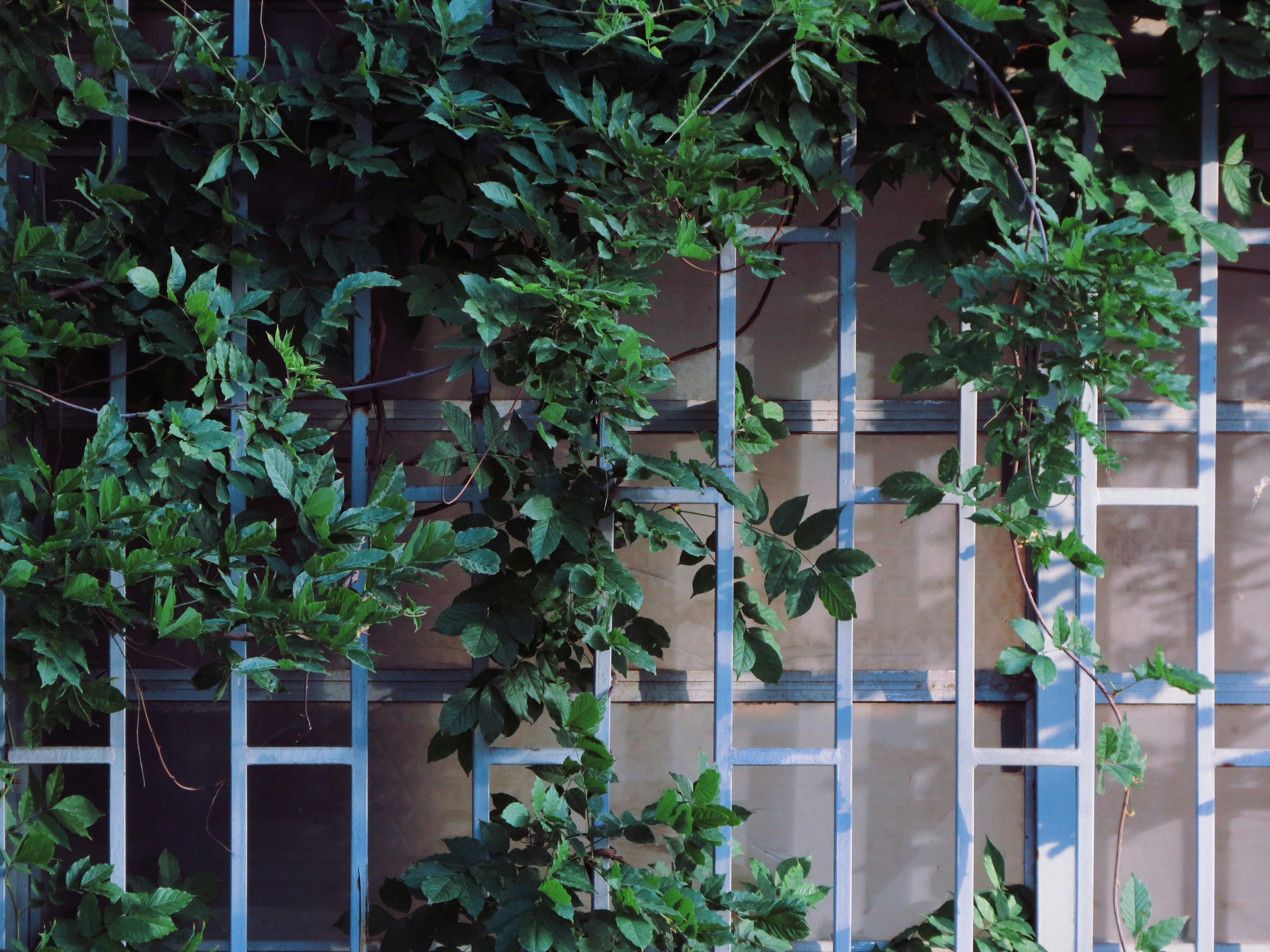 Photo by varioussaad