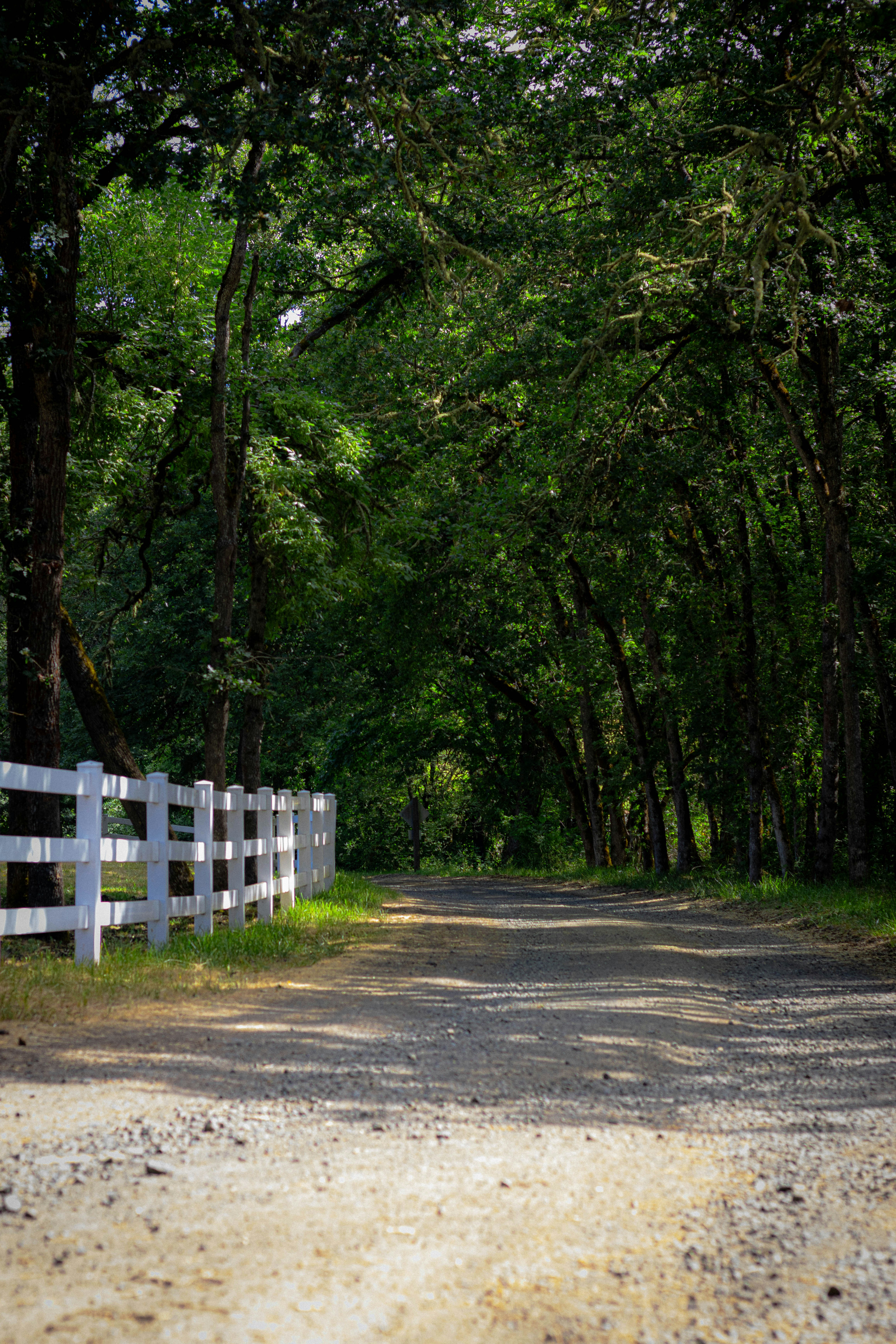 a dirt road with a white fence and trees
