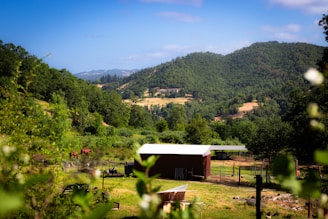 A picturesque rural landscape featuring verdant hills with dense forests. The scene includes a small, red-roofed barn and fenced enclosures in the foreground. A few horses graze in a pasture surrounded by greenery, and distant mountains add depth to the background.