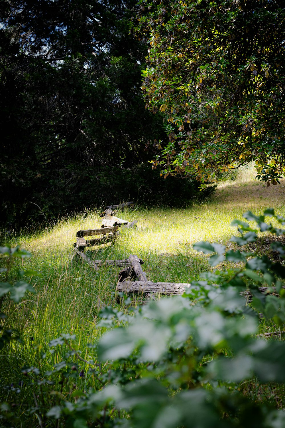 a wooden bench sitting in the middle of a lush green field