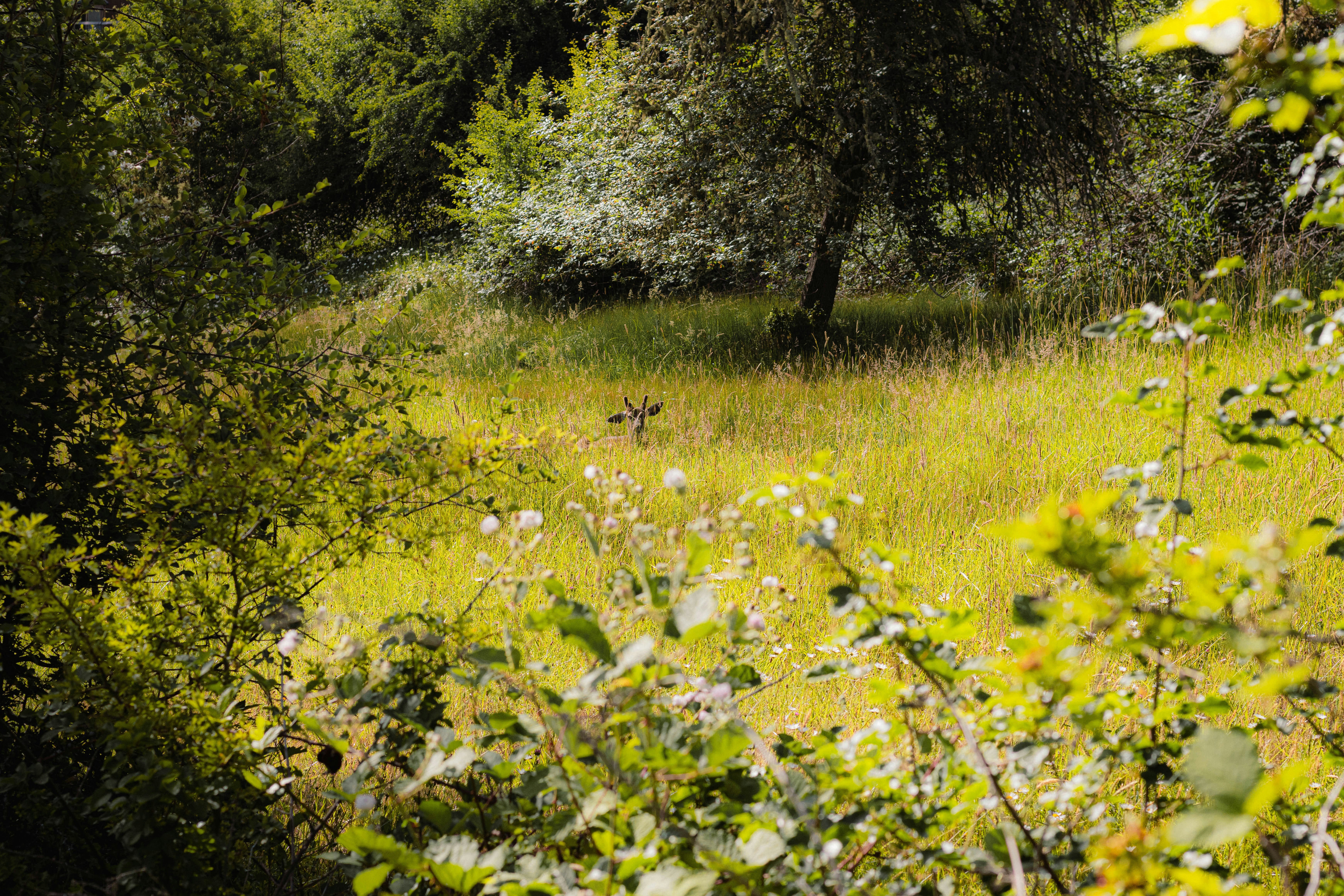 Photo by davidjboozer