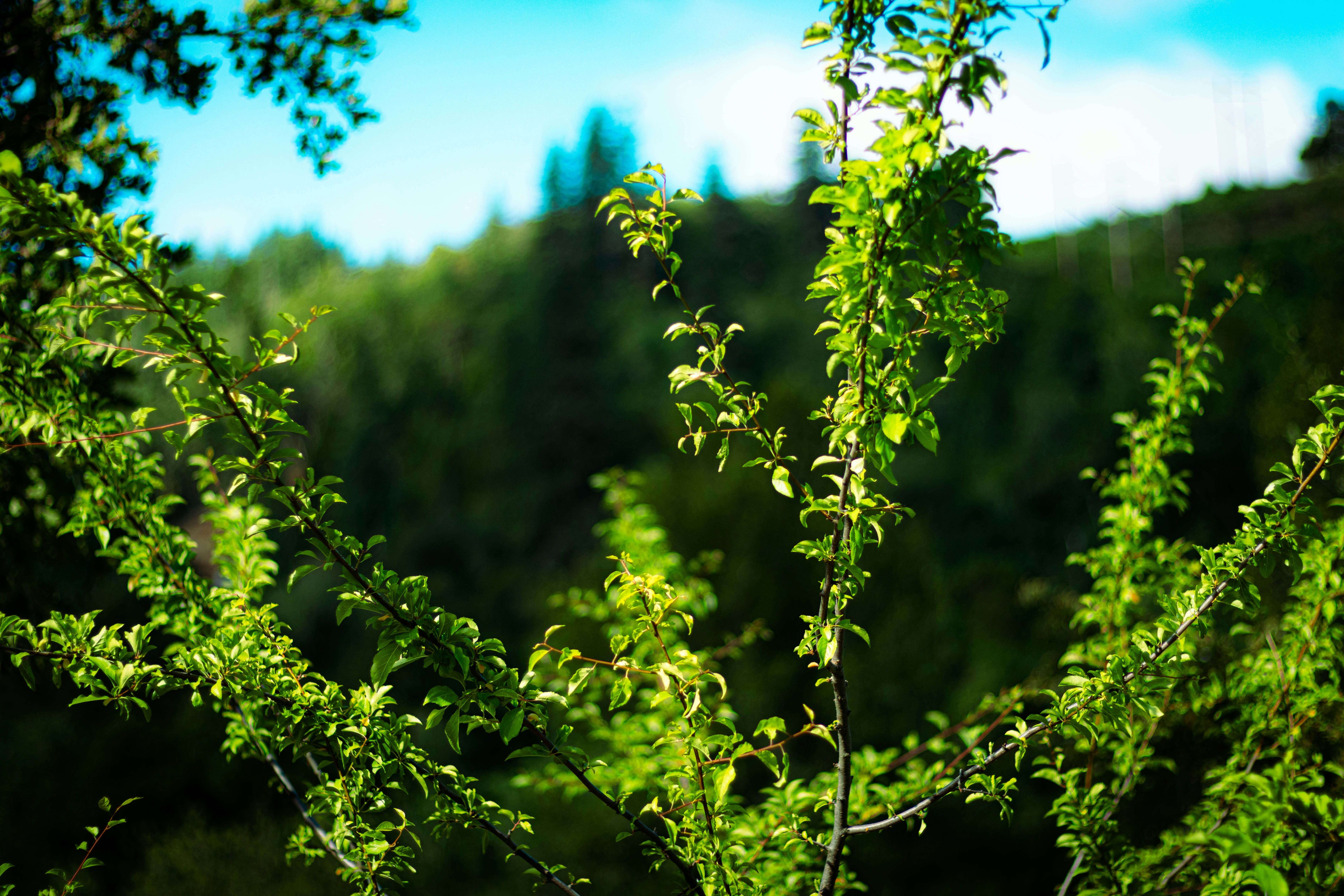 Photo by davidjboozer