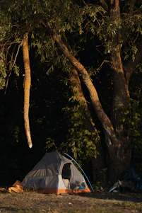A cozy Touisset tent pitched in a sunlit forest clearing with camping gear neatly arranged outside.