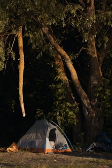 A small gray and orange tent is nestled among tall trees with lush green foliage. The scene is set in a serene forest environment with dappled sunlight filtering through the leaves, casting shadows on the ground. Nearby, there is a collection of camping gear placed on the grass.