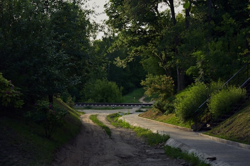 A serene path through a lush green forest symbolizing a spiritual journey.