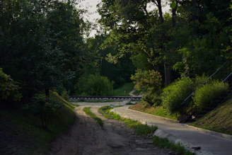 A serene path winding through a lush forest.