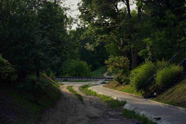 A serene path winding through a peaceful forest symbolizing a journey to healing.