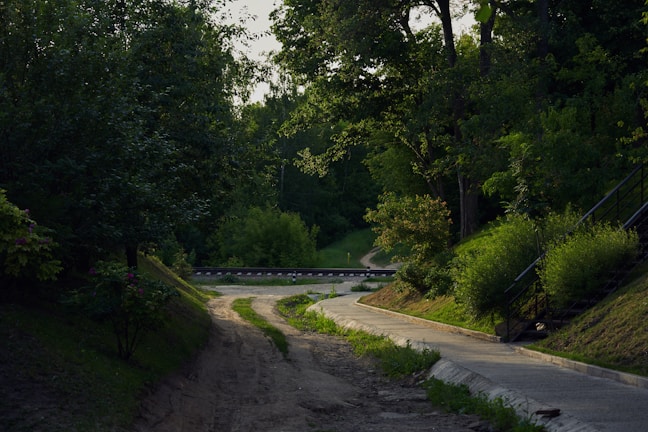 A serene path winding through a lush green forest.