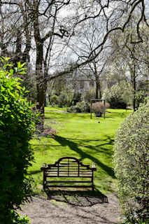 A serene backyard scene featuring a neatly edged lawn and a wooden bench inviting relaxation