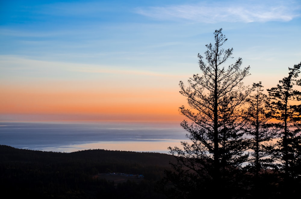 the sun is setting over the ocean and trees