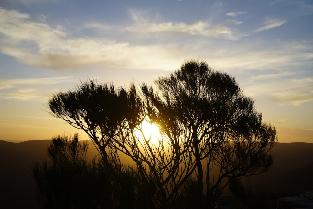 the sun is setting behind some trees