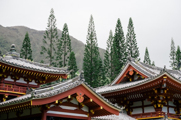 A traditional Asian-style temple with ornate details and curved rooftops is set against a backdrop of tall pine trees and mountains. The architecture features red and yellow accents and intricate roof designs.