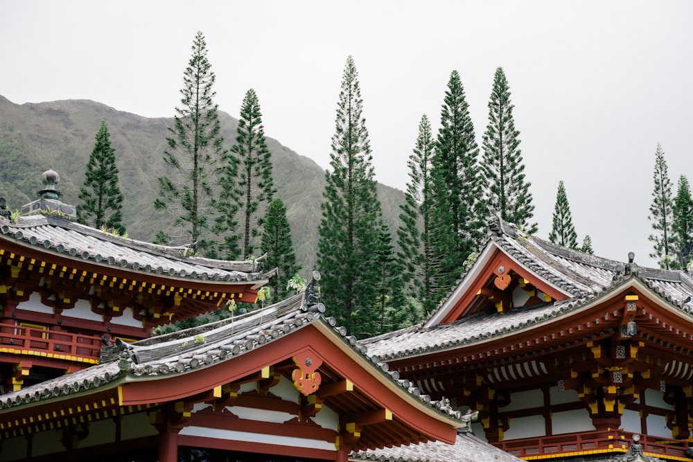 the roof of a building with pine trees in the background