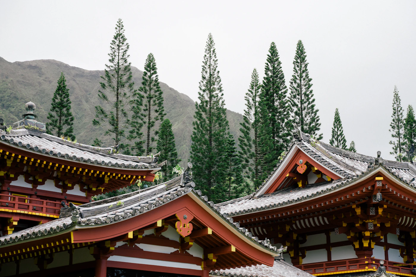 石鎚山を望む山あいに建つ古刹の屋根と木立
