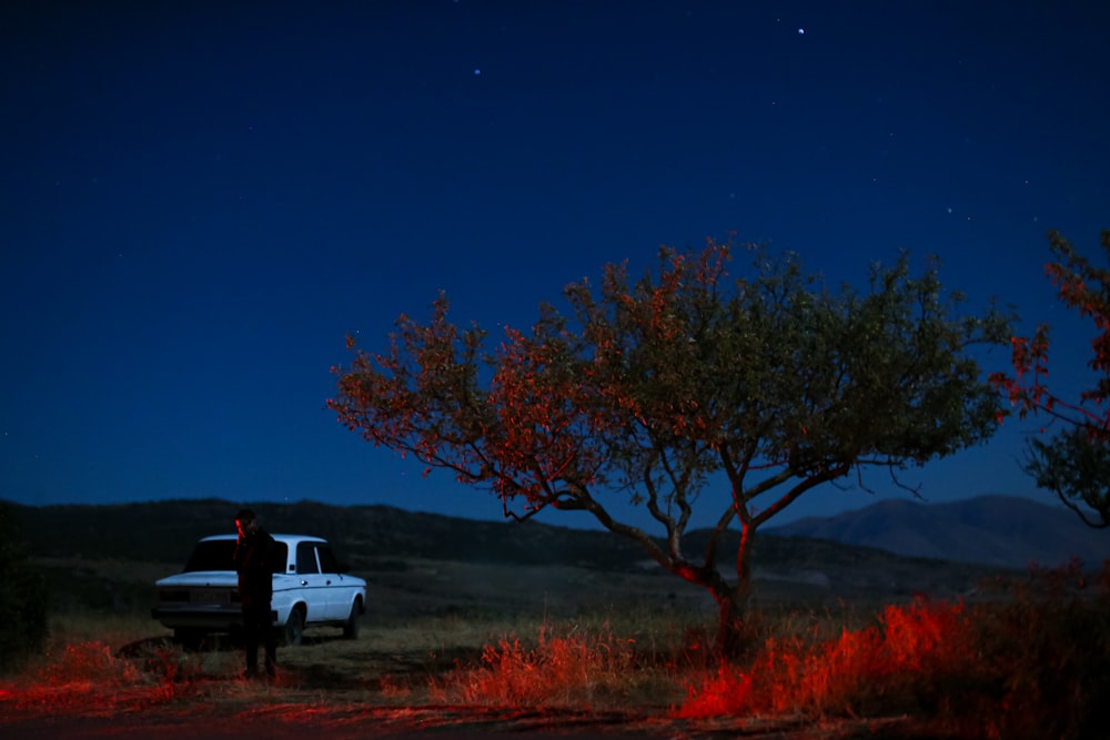 a man standing next to a truck under a tree