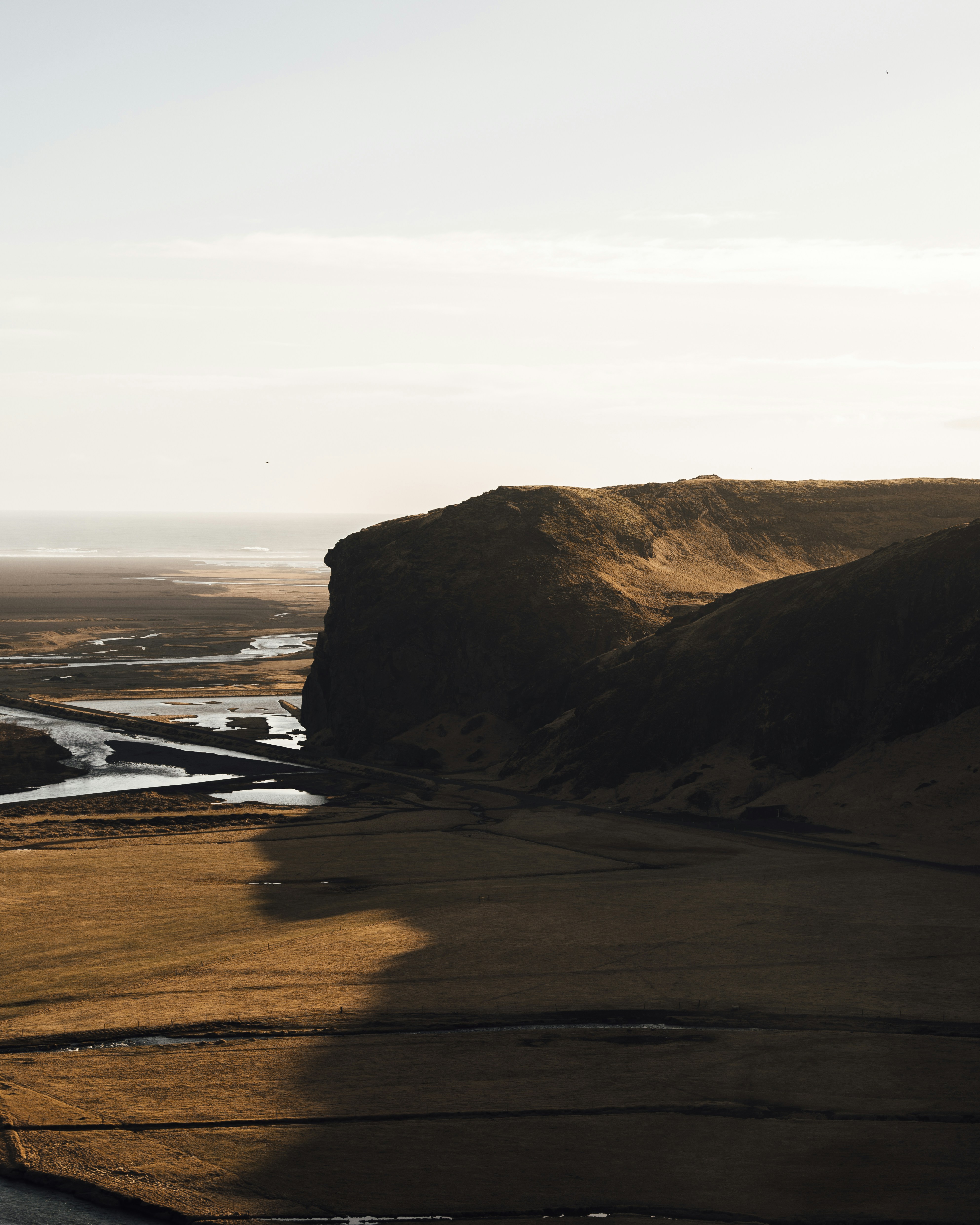 Photo by siboldmichel