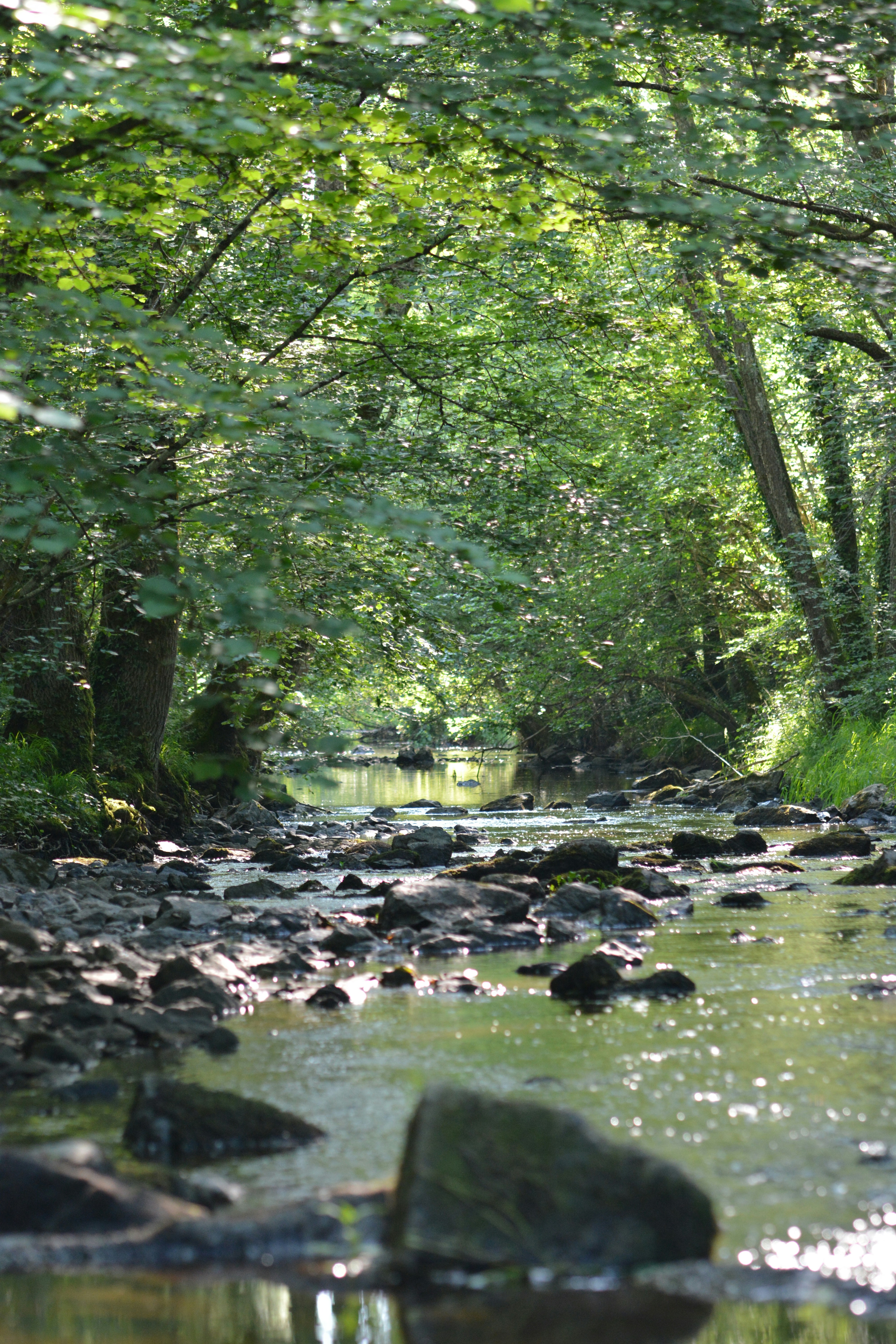 Photo by ashwinward18