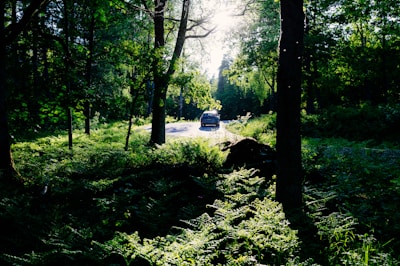 UrbanDrive car in motion along a tree-lined urban avenue, sunlight filtering through the leaves.