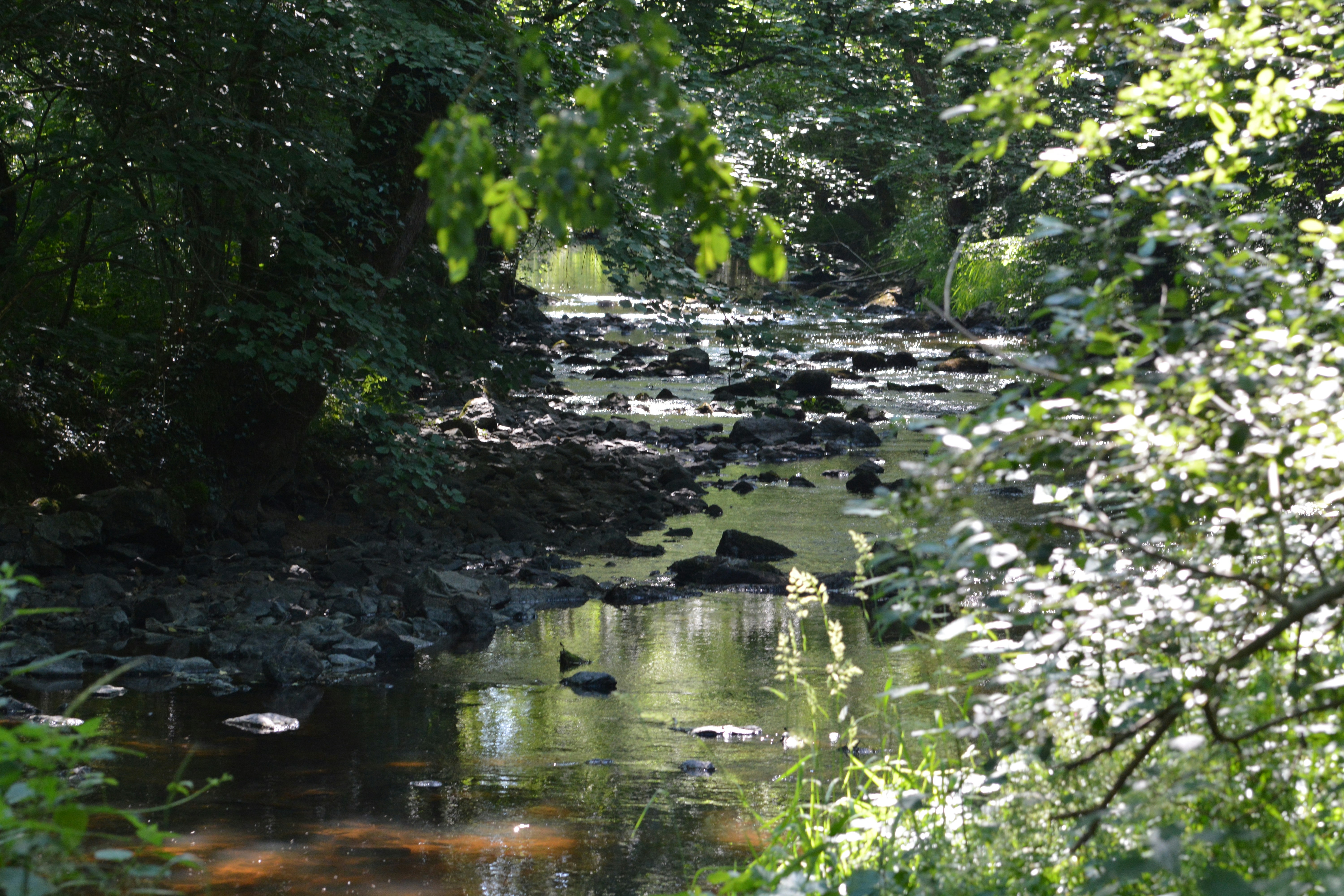 Photo by ashwinward18