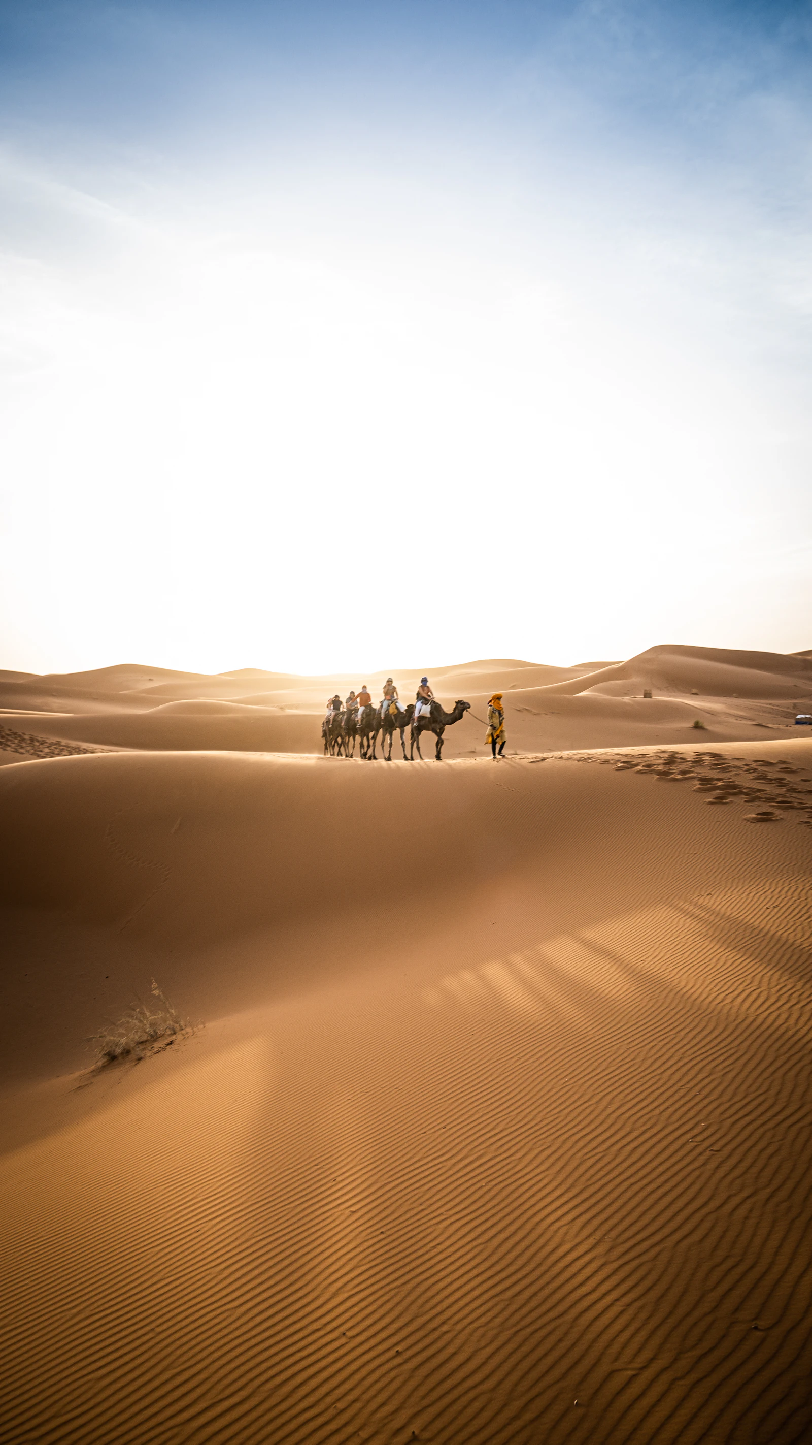 Merzouga Desert