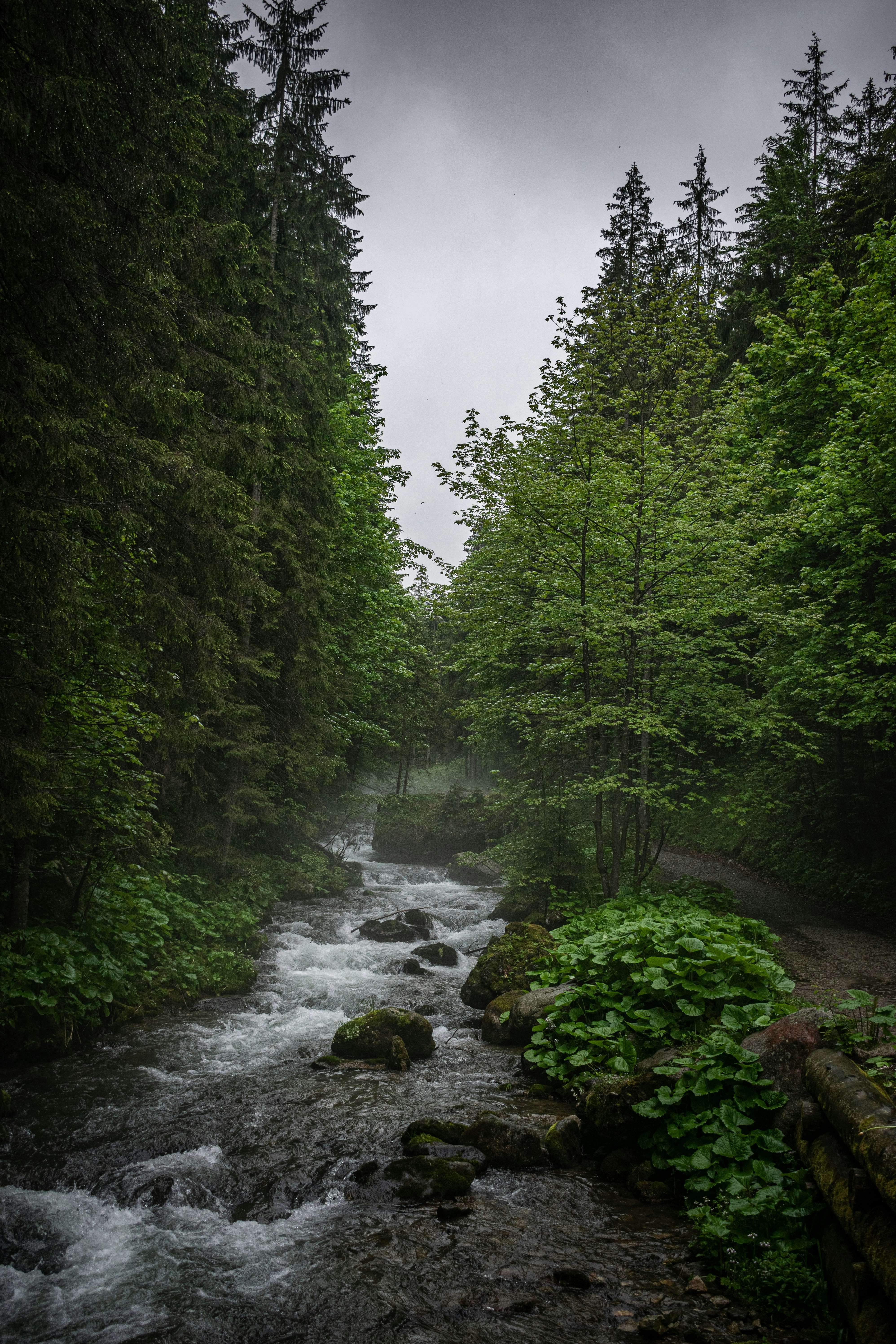 Photo by vladuken