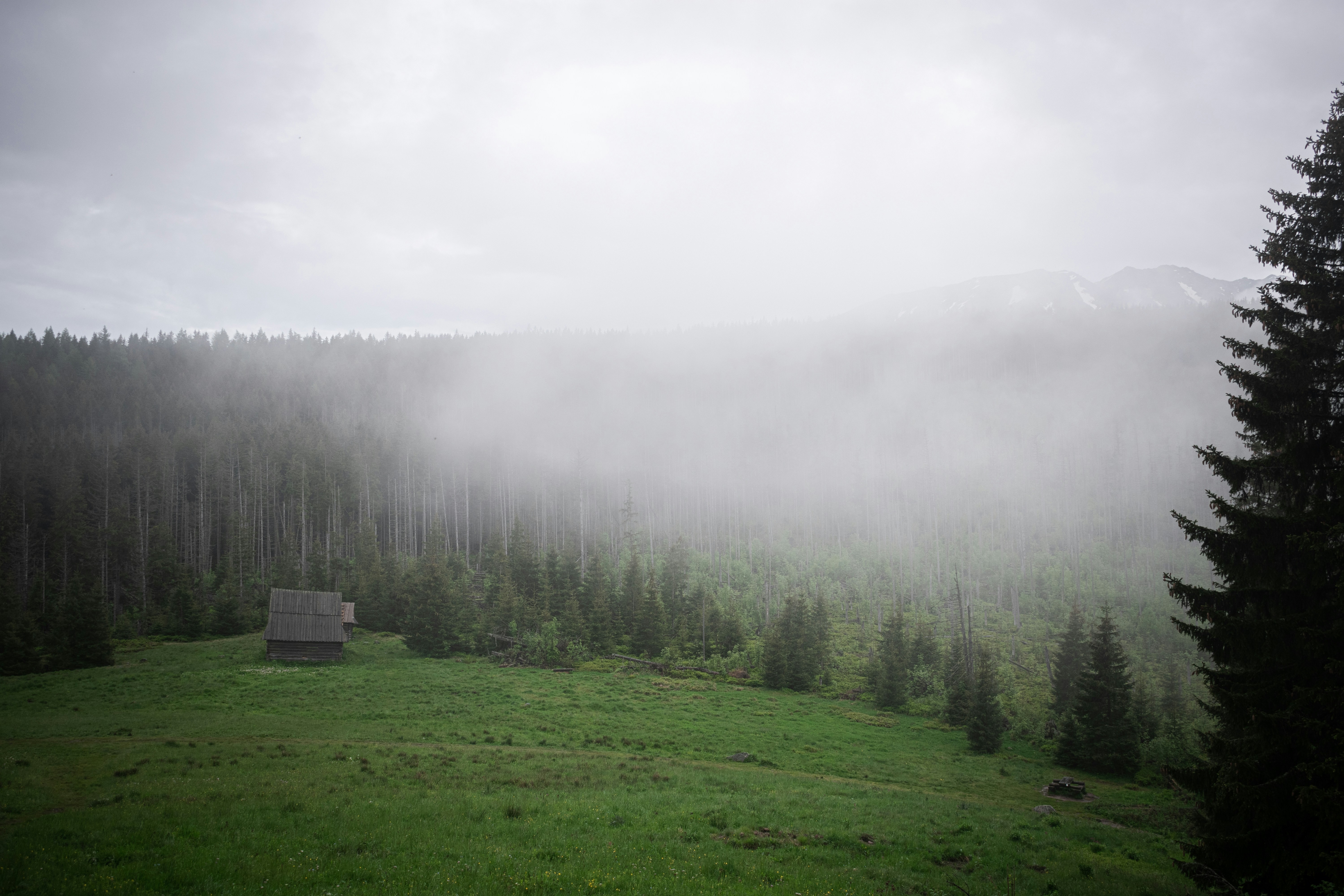Photo by vladuken