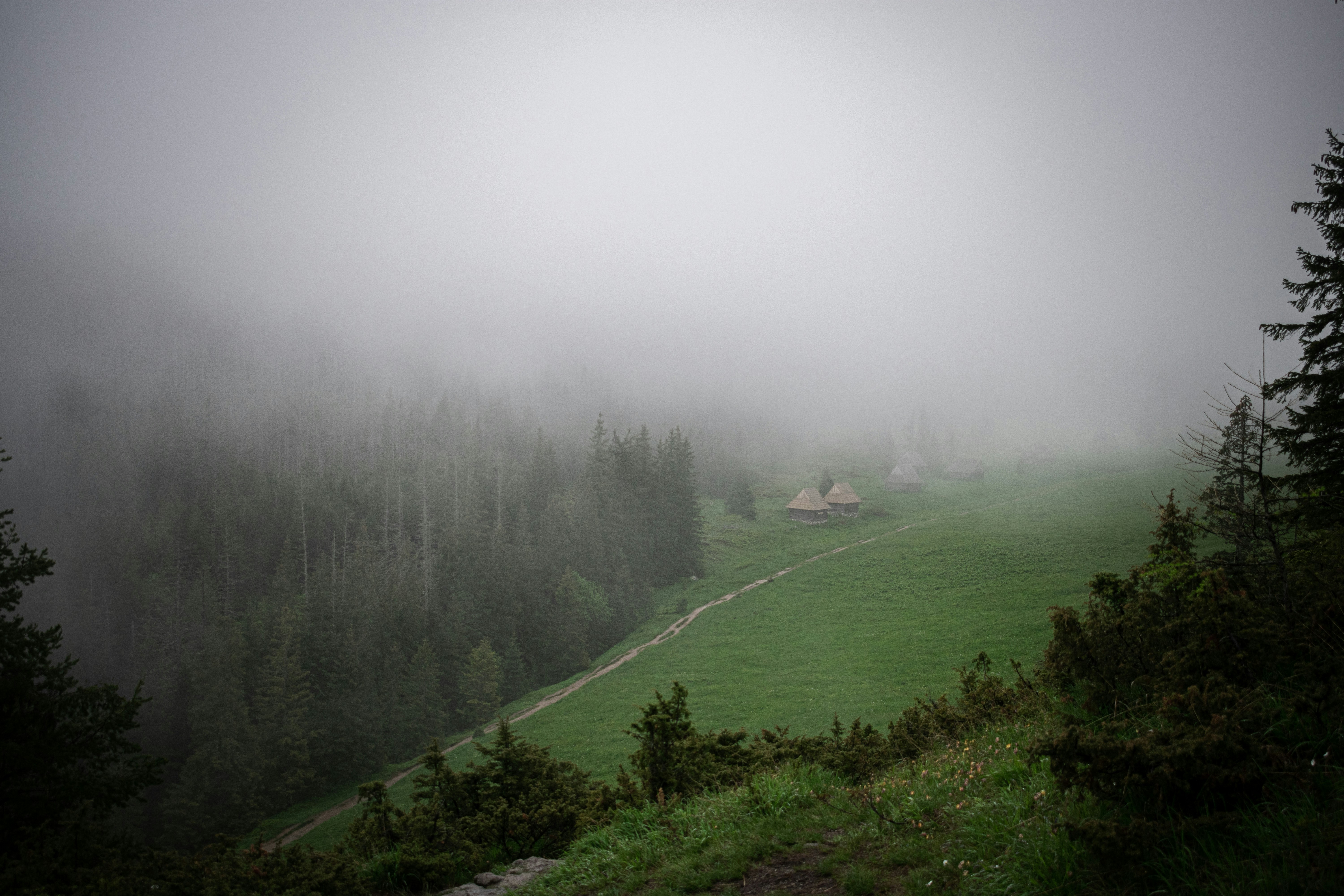 Photo by vladuken
