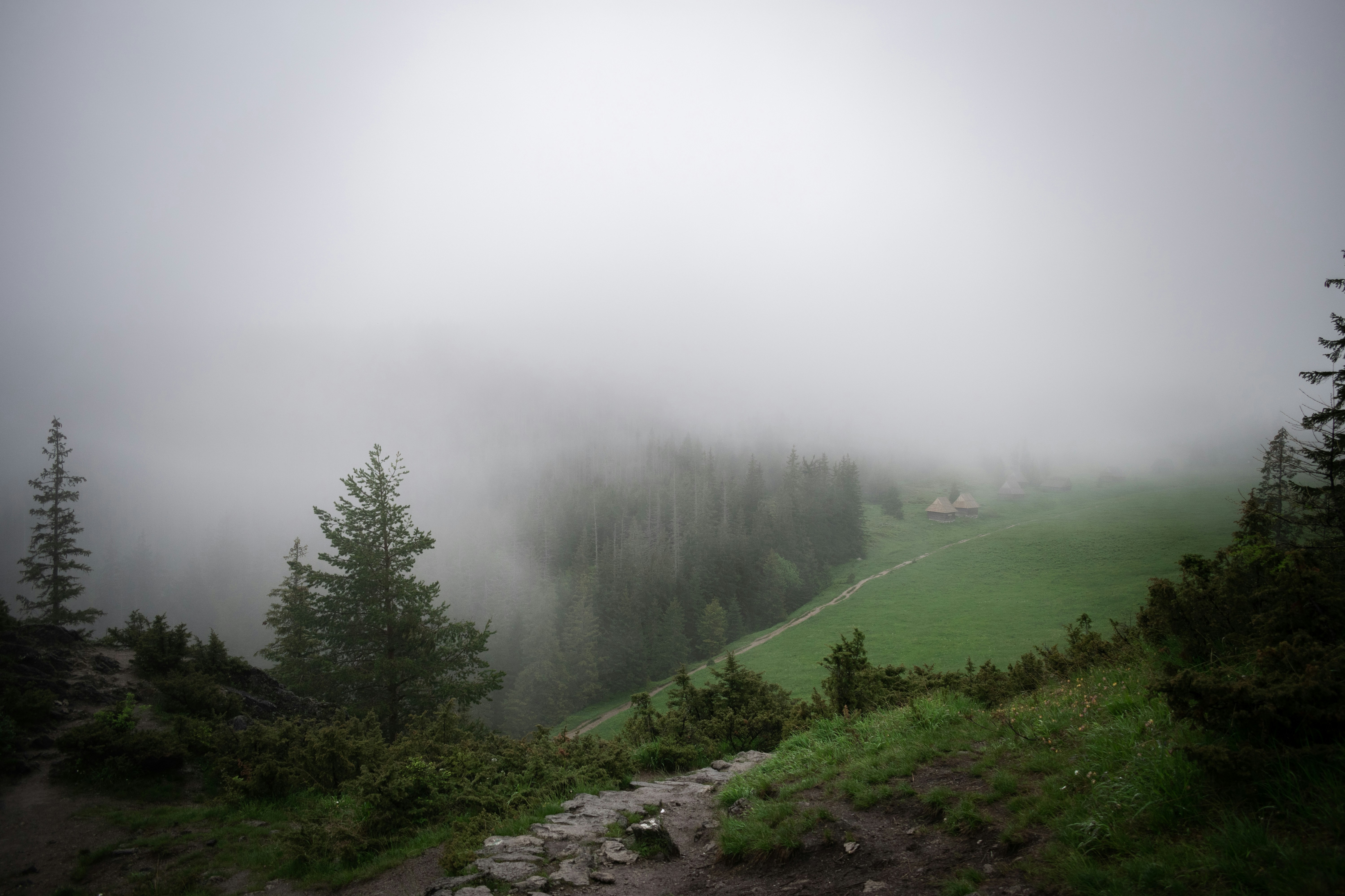 Photo by vladuken