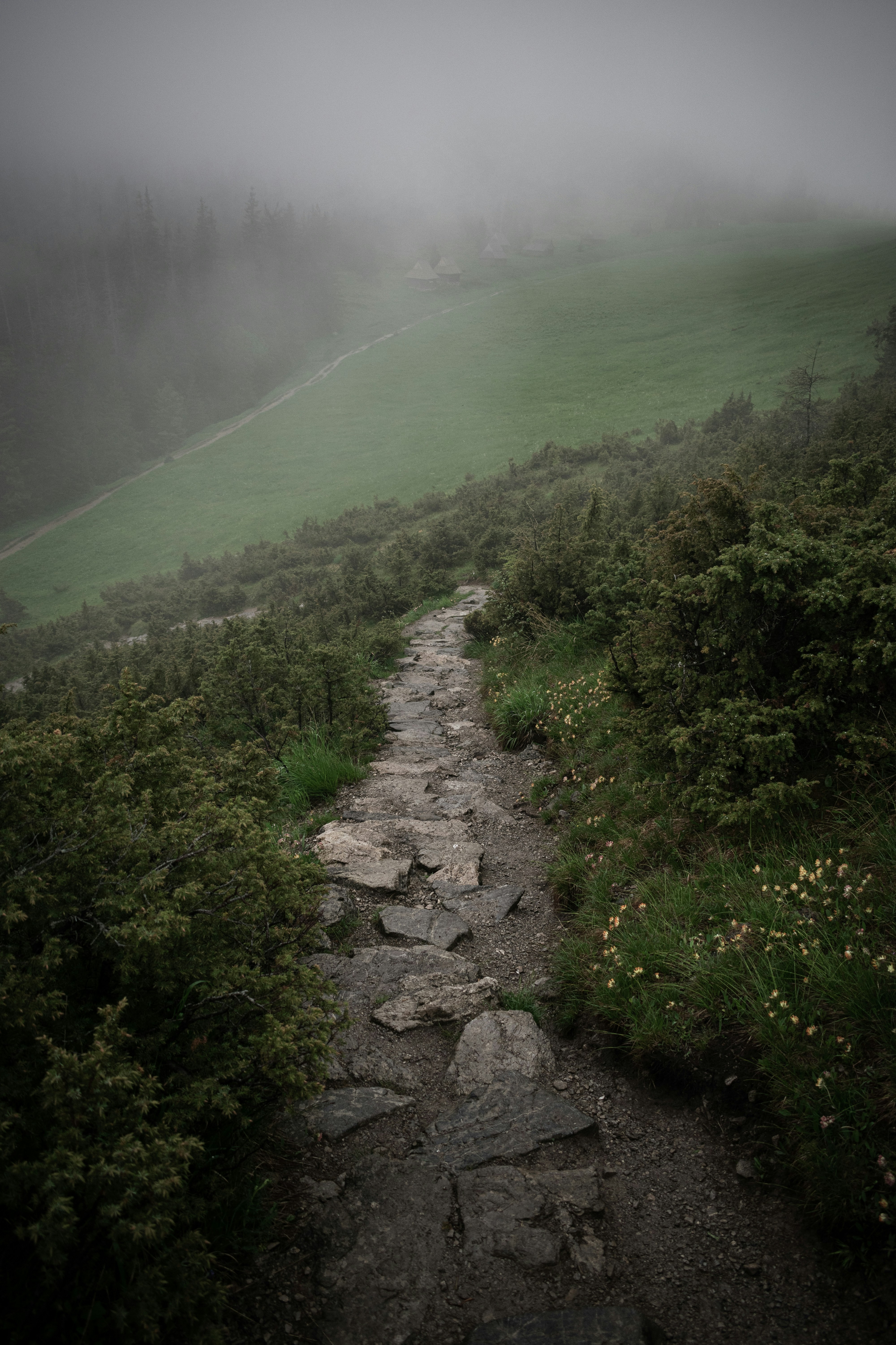 Photo by vladuken