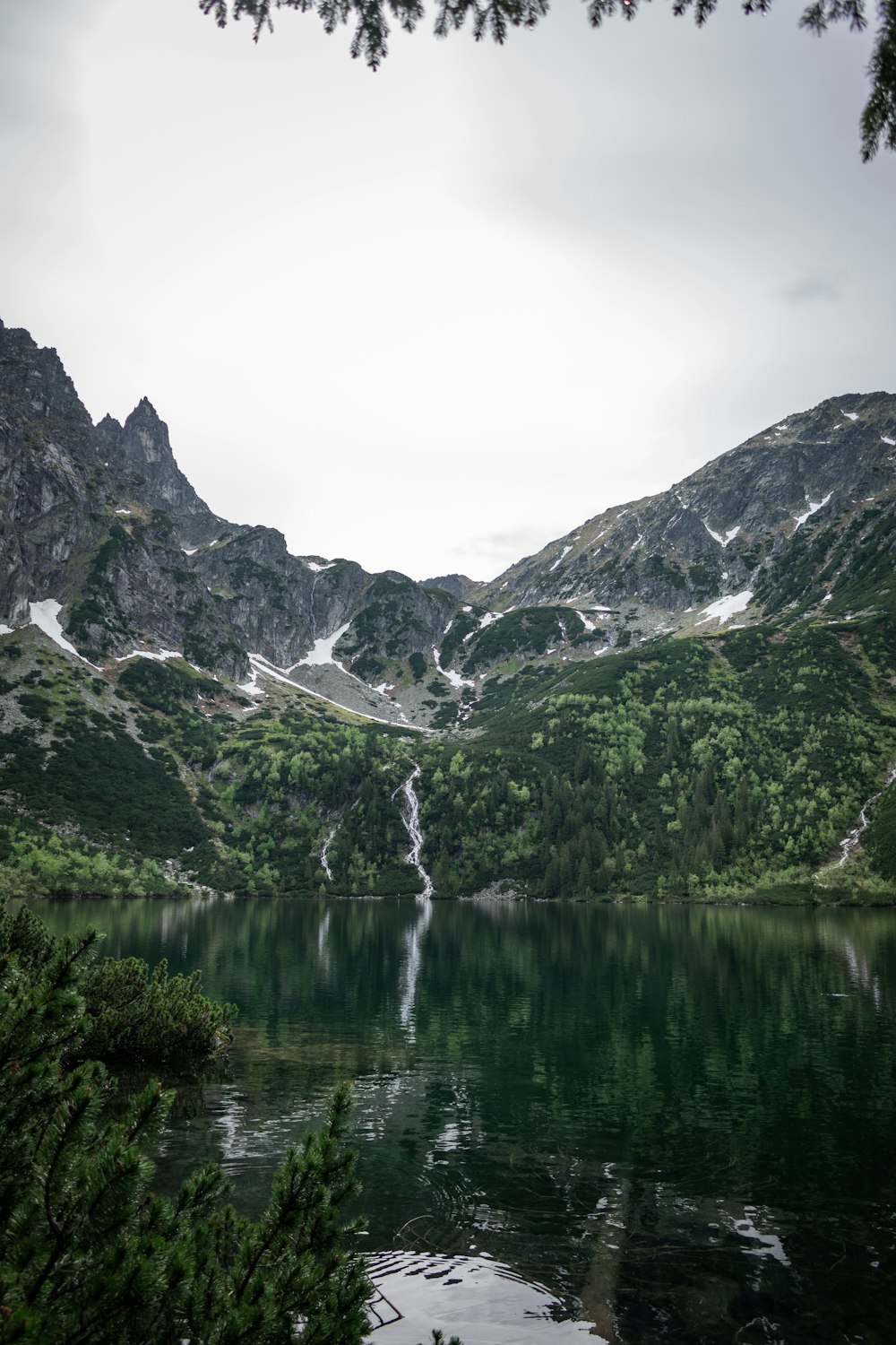 a body of water surrounded by mountains and trees