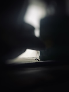 An artistic snapshot from a video emphasizing contrast and mood.