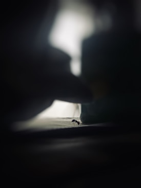 A dark, moody photograph featuring a small ant in focus on a flat surface with blurred surroundings, creating a sense of solitude and contrast between light and shadow.